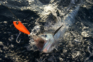 Can Lure Color Really Trigger More Hits?