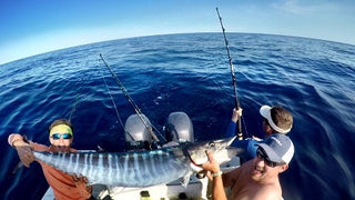 Top Mistakes Anglers Make When Chasing Pelagic Giants