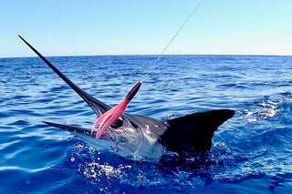 Why Pre-Rigged Lures Save More Than Time