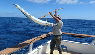 Why Size Matters in Big Game Fishing Lures