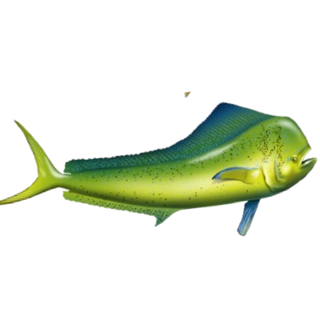 Green floral fish logo v2