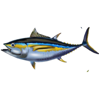 Green floral fish logo v3