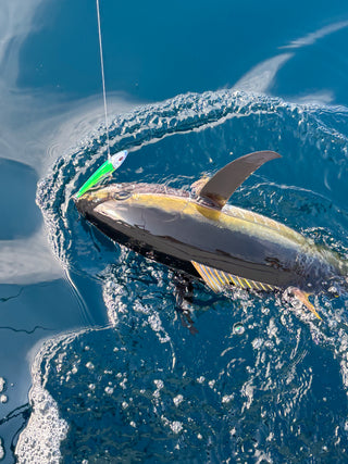 Close-up of fishing lure