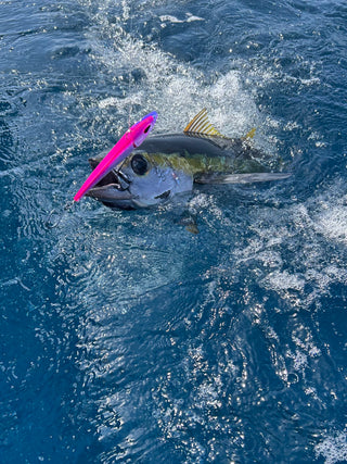 Catch and lures on deck