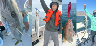 Inshore fish species chart