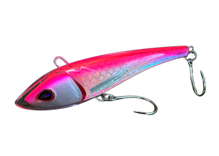 School of fish underwater