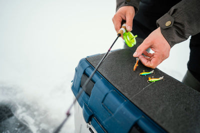 How unpredictable lure action attracts fish and causes instant reaction strikes