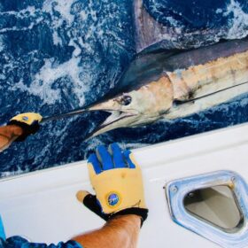 Marlin Fishing Techniques