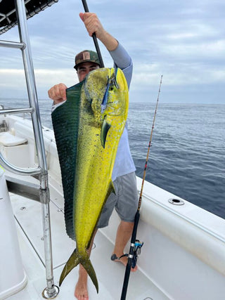 You Say Mahi I say Dorado