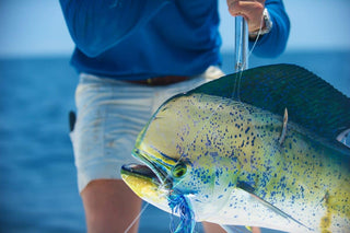 The Beautiful Life of Mahi Mahi