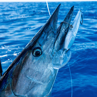 Deep Dive Trolling