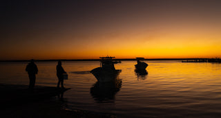 Boats heading out at sunset in Magdalena Bay, Baja California Sur