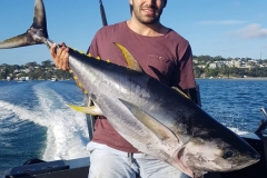 tuna-south-africa