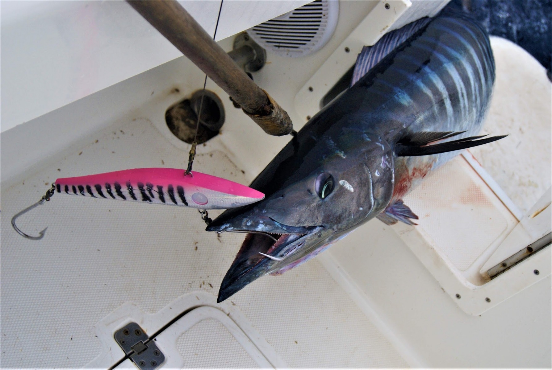 Wahoo Lures - High Speed with Proprietary Multi Frequency Rattle