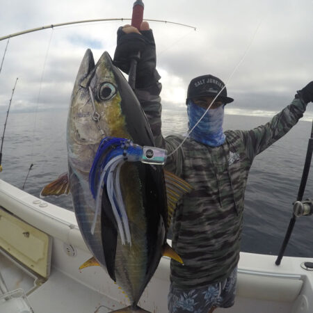 yellowfin tuna on mini meat lure