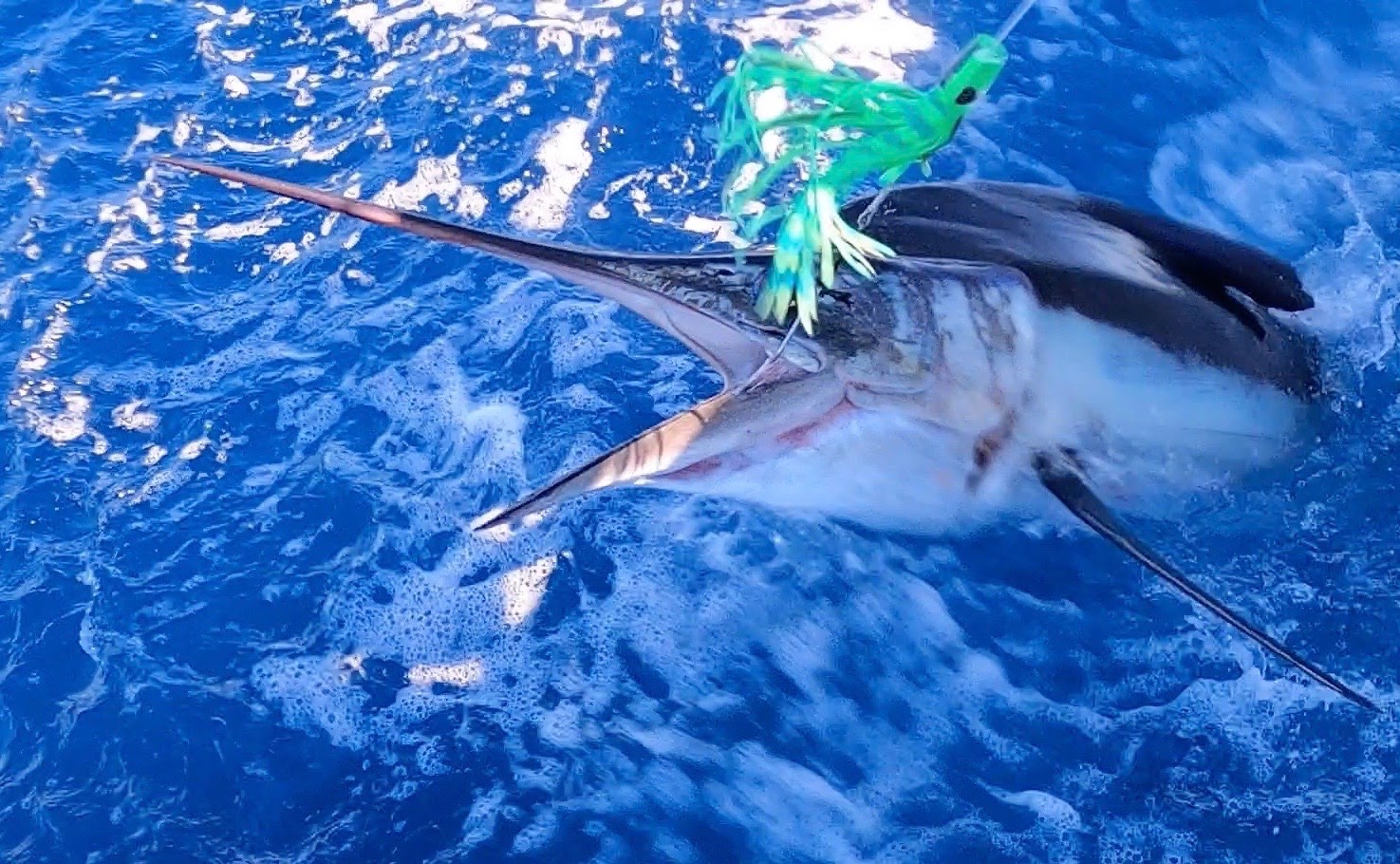 MagBay Lures Dorado Marlin and Wahoo Fishing Video - Magdalena Bay