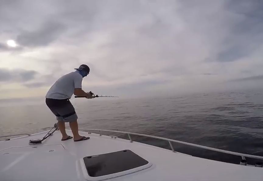 Baiting a Marlin