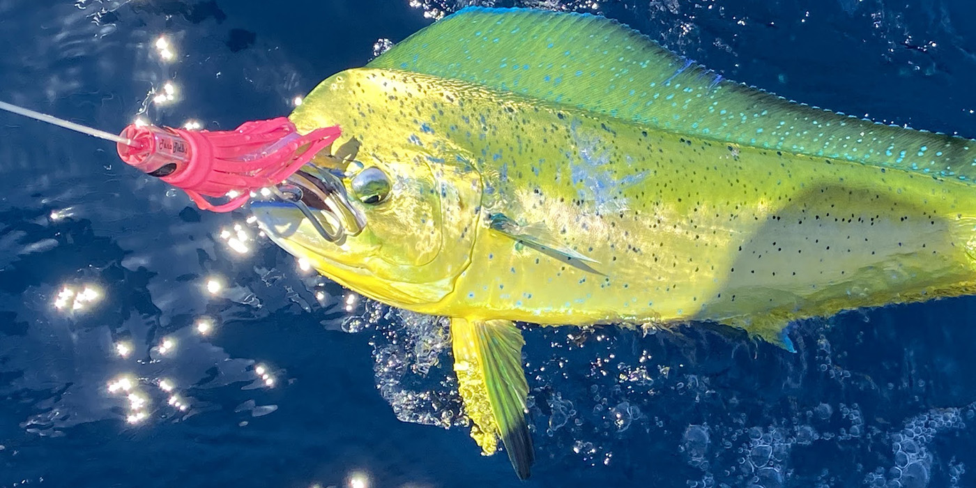 Tuna Tidbit Daisy Chain Lure - MagBay Lures - Wahoo and Marlin Fishing Lures