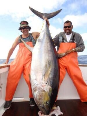 Yellowfin Tuna Lure