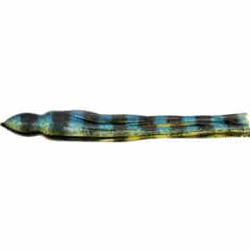 MagBay Lures Octopus Replacement Skirt